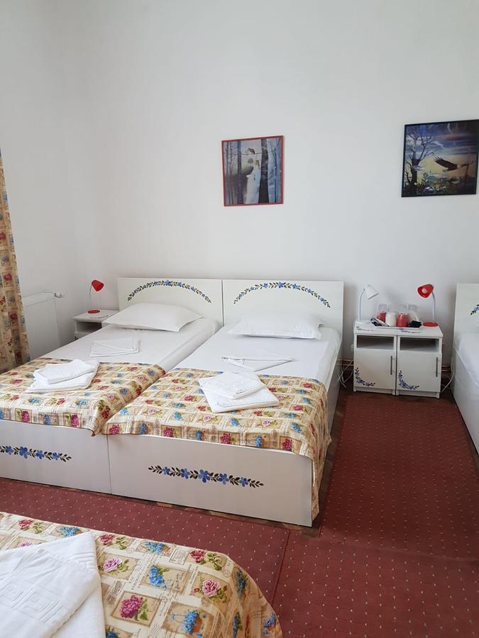 Pensiunea Geostar 2 Curtea de Argeş Екстериор снимка