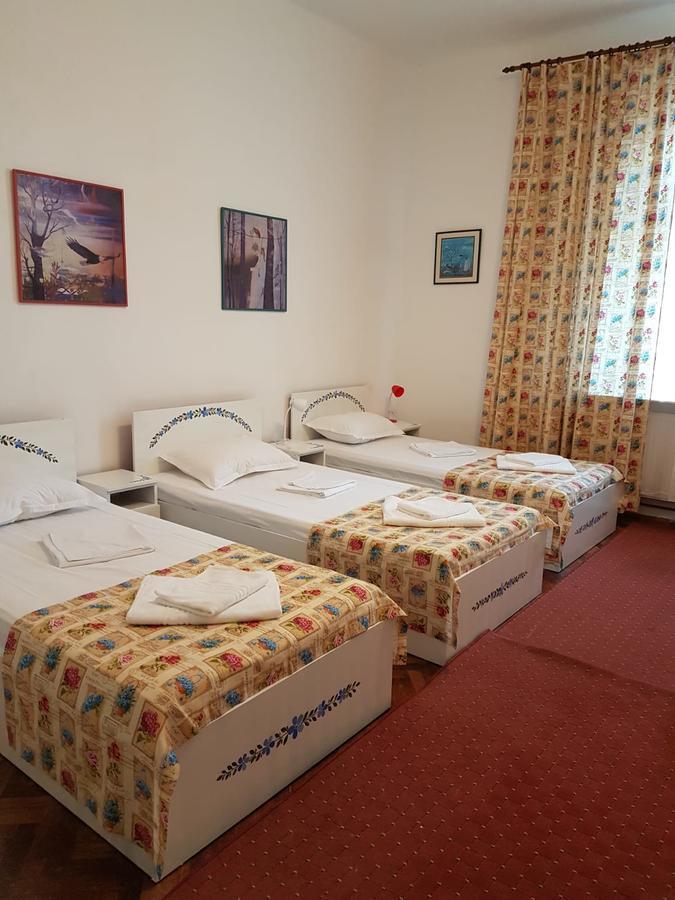 Pensiunea Geostar 2 Curtea de Argeş Екстериор снимка