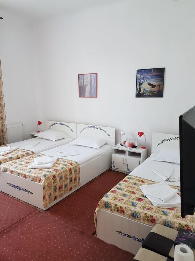 Pensiunea Geostar 2 Curtea de Argeş Екстериор снимка