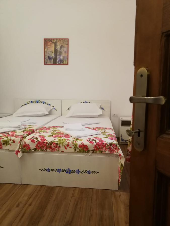 Pensiunea Geostar 2 Curtea de Argeş Екстериор снимка
