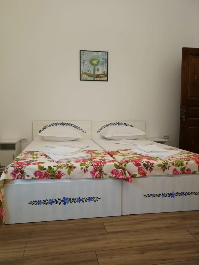 Pensiunea Geostar 2 Curtea de Argeş Екстериор снимка