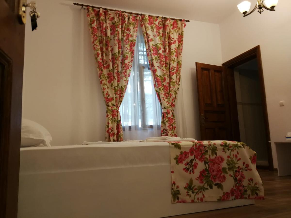 Pensiunea Geostar 2 Curtea de Argeş Екстериор снимка